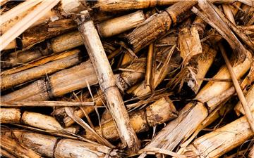 Chất xúc tác mới giúp giảm chi phí sản xuất hydro xanh từ sinh khối